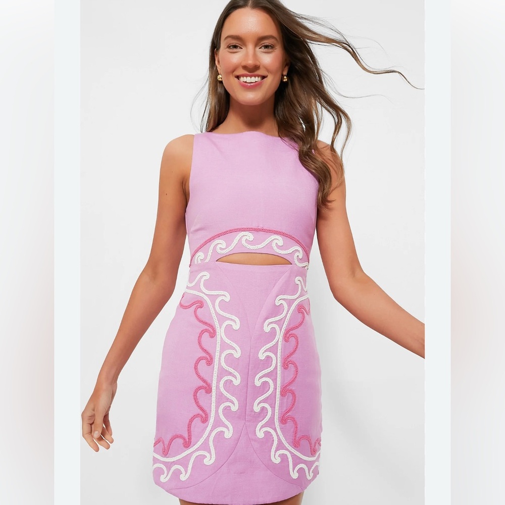 Significant Other Taffy Nara Mini dress 💖✨💘 size 4✨